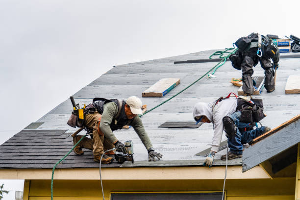 Professional Gutter Installation technician working in Salado, TX